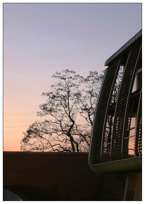 _MG_3398 Kopie_galerie.jpg